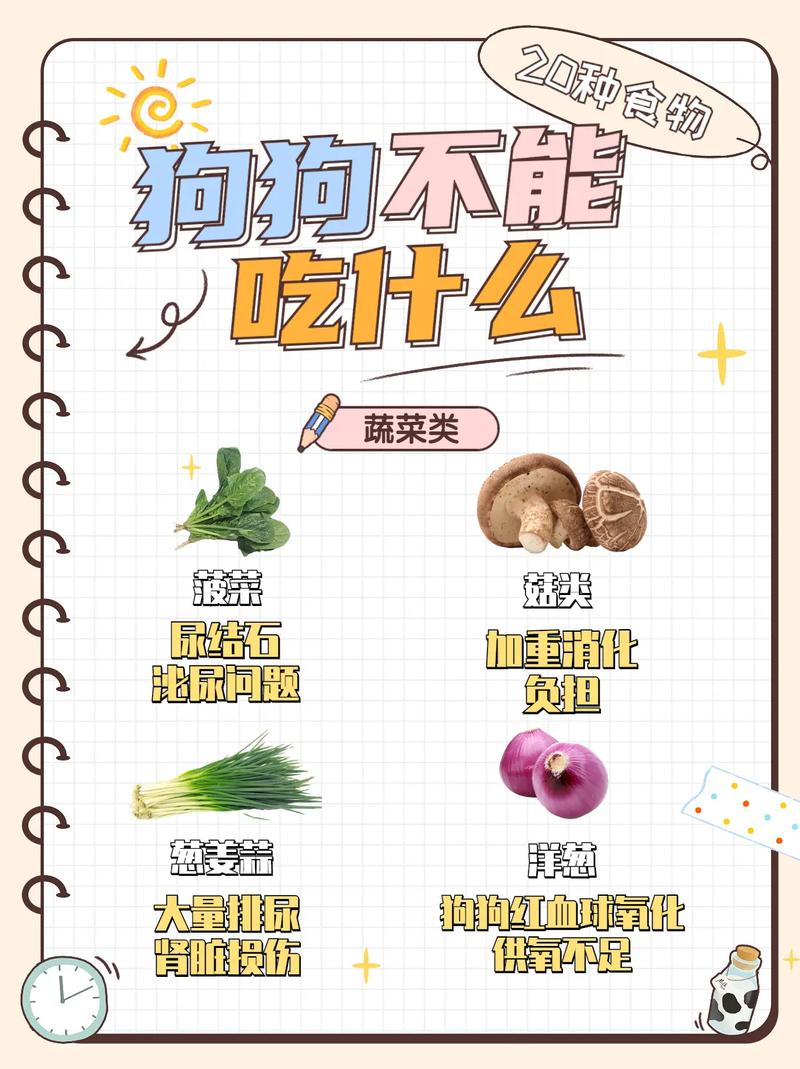 狗狗可以吃咸的东西吗_狗狗能吃咸的么