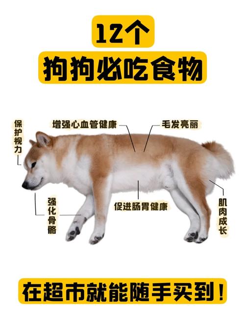 狗狗吃咸了的症状_狗狗吃太咸的食物会怎么样-第4张图片-后鲨宠物 狗狗吃咸了的症状_狗狗吃太咸的食物会怎么样-第4张图片-后鲨宠物