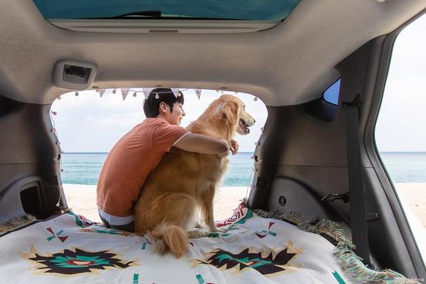 狗狗能坐大巴车吗_狗狗可以坐大巴嘛