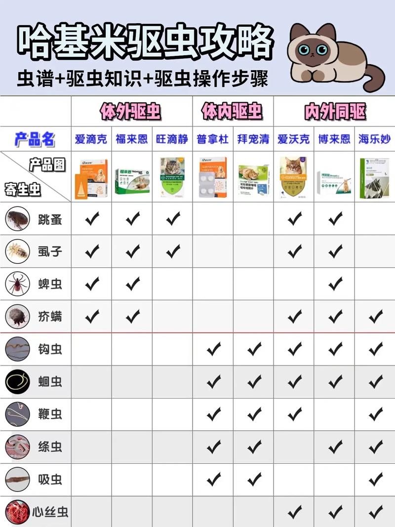猫咪体内驱虫的正确方法，猫内驱要连吃三天吗？
