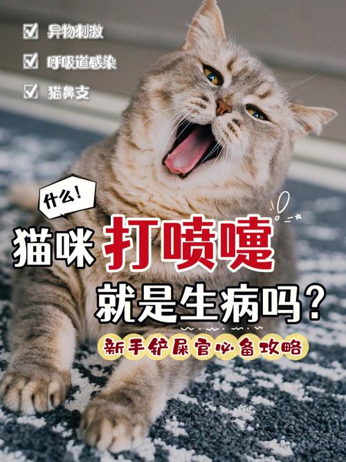 猫猫打喷嚏怎么办，猫猫打喷嚏怎么办呢-第2张图片-后鲨宠物