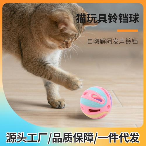 猫咪喜欢什么玩具,猫最喜欢什么东西玩具-第6张图片-后鲨宠物 猫咪喜欢什么玩具,猫最喜欢什么东西玩具-第6张图片-后鲨宠物