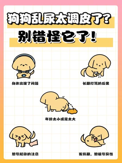  狗狗喝水多尿多正常吗，宠物狗喝水多尿得也多好吗-第2张图片-后鲨宠物