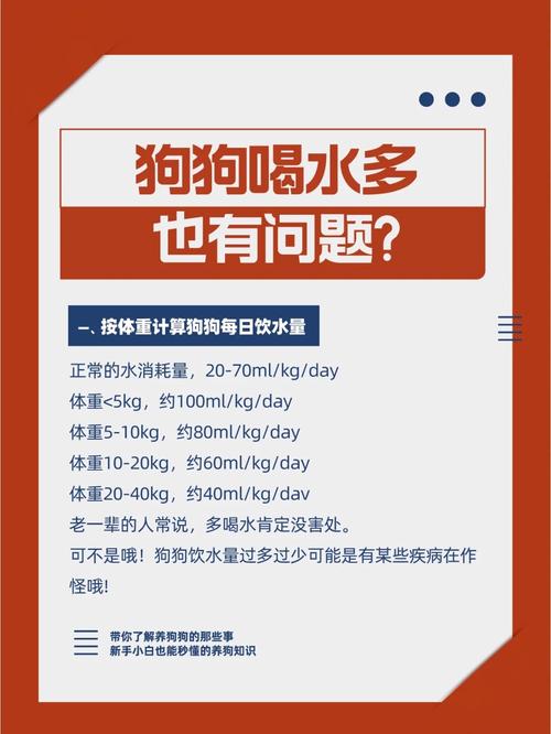  狗狗喝水多尿多正常吗，宠物狗喝水多尿得也多好吗-第3张图片-后鲨宠物
