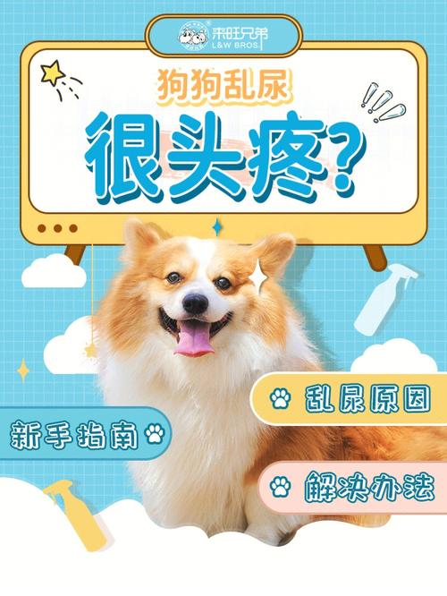  狗狗喝水多尿多正常吗，宠物狗喝水多尿得也多好吗-第4张图片-后鲨宠物