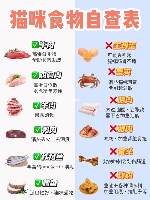 猫咪可以吃肉吗_猫猫可以吃什么人类吃的东西