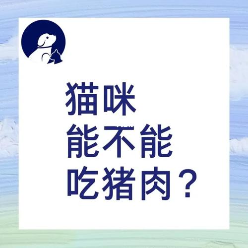 猫咪可以吃肉吗_猫猫可以吃什么人类吃的东西-第3张图片-后鲨宠物 猫咪可以吃肉吗_猫猫可以吃什么人类吃的东西-第3张图片-后鲨宠物