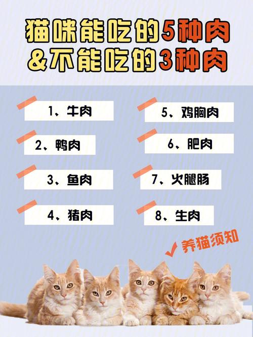 猫咪可以吃肉吗_猫猫可以吃什么人类吃的东西-第4张图片-后鲨宠物 猫咪可以吃肉吗_猫猫可以吃什么人类吃的东西-第4张图片-后鲨宠物