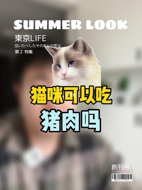 猫咪可以吃肉吗_猫猫可以吃什么人类吃的东西-第5张图片-后鲨宠物 猫咪可以吃肉吗_猫猫可以吃什么人类吃的东西-第5张图片-后鲨宠物
