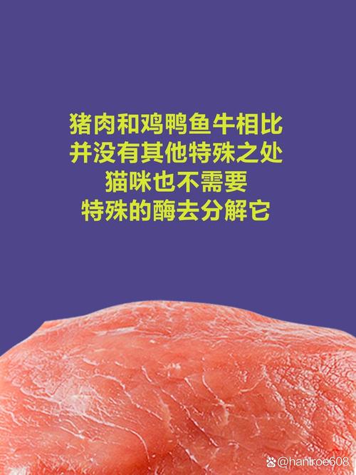 猫咪可以吃肉吗_猫猫可以吃什么人类吃的东西-第6张图片-后鲨宠物 猫咪可以吃肉吗_猫猫可以吃什么人类吃的东西-第6张图片-后鲨宠物