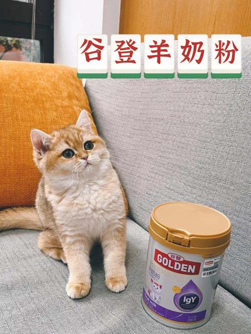 猫咪能喝奶粉吗,猫咪可以喝奶粉吗增加水量?-第2张图片-后鲨宠物 猫咪能喝奶粉吗,猫咪可以喝奶粉吗增加水量?-第2张图片-后鲨宠物