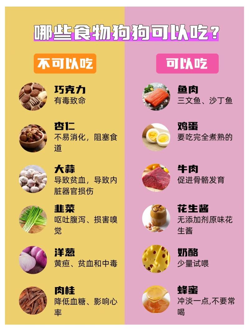 狗狗可以吃胡椒吗_狗狗吃胡椒吗会死吗-第2张图片-后鲨宠物