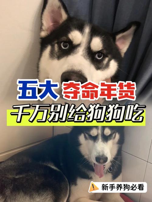 狗狗可以吃胡椒吗_狗狗吃胡椒吗会死吗-第5张图片-后鲨宠物