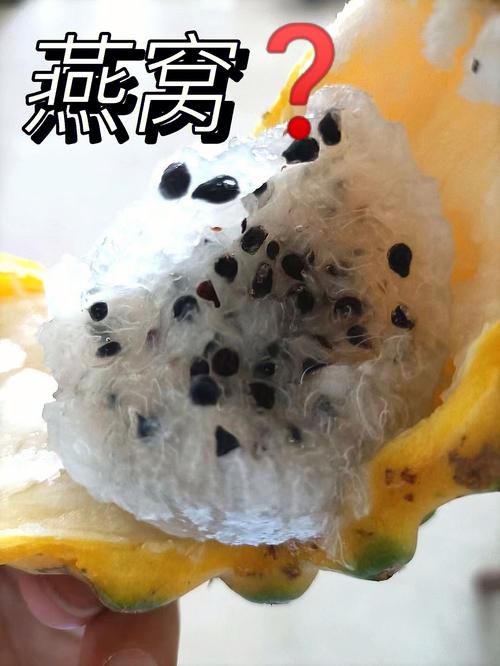 狗狗能吃燕窝吗，狗狗可以吃燕窝嘛？-第2张图片-后鲨宠物