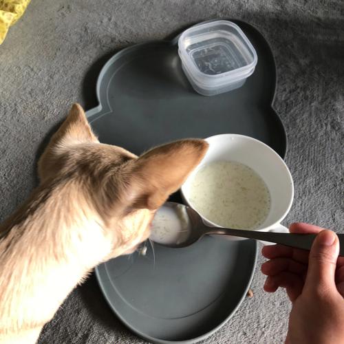 狗狗能吃燕窝吗，狗狗可以吃燕窝嘛？-第5张图片-后鲨宠物