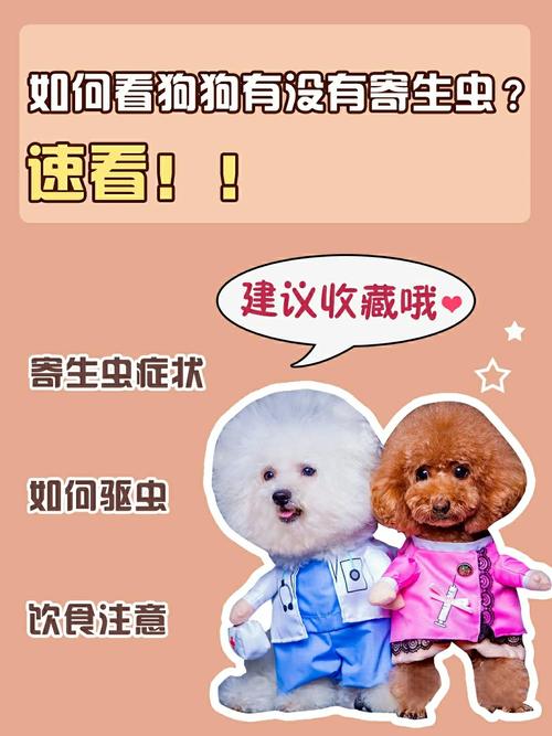 怎么知道狗狗体内有虫，如何看出狗狗体内是否有虫？-第2张图片-后鲨宠物