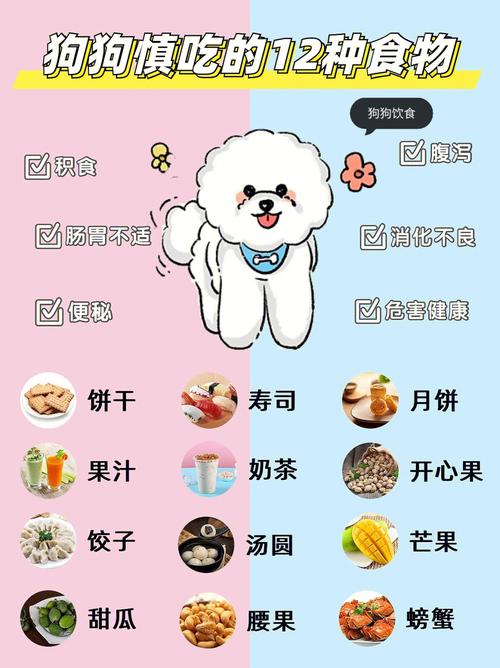  狗狗可以吃煎蛋吗，狗狗可以吃煎鸡蛋吗?-第3张图片-后鲨宠物