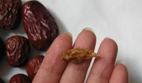 狗狗吃了枣核怎么办，狗狗吃了大枣核多久会有症状？-第5张图片-后鲨宠物