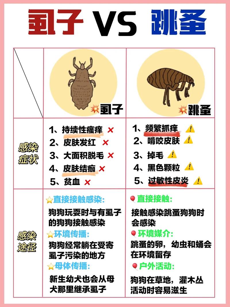 狗狗身上有寄生虫怎么办_狗狗身上的寄生虫怎么办