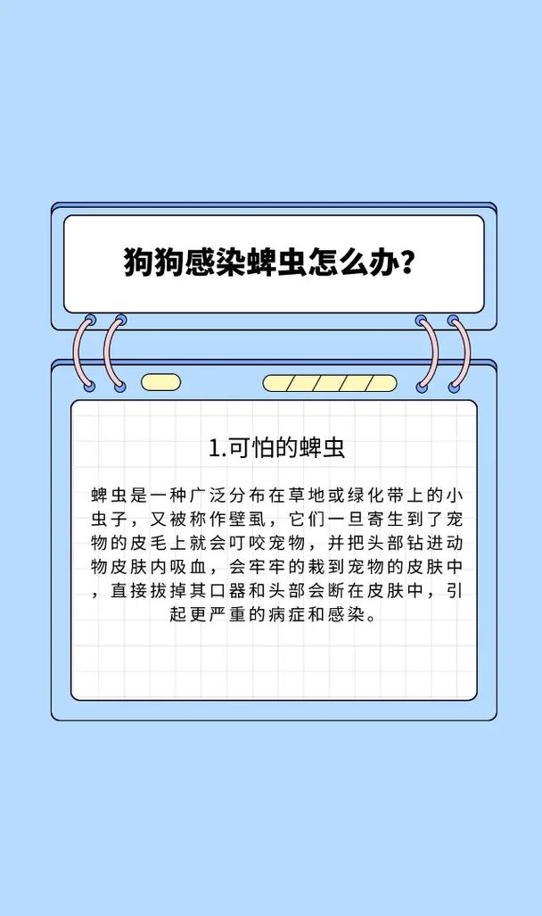 狗狗身上有寄生虫怎么办_狗狗身上的寄生虫怎么办-第4张图片-后鲨宠物 狗狗身上有寄生虫怎么办_狗狗身上的寄生虫怎么办-第4张图片-后鲨宠物