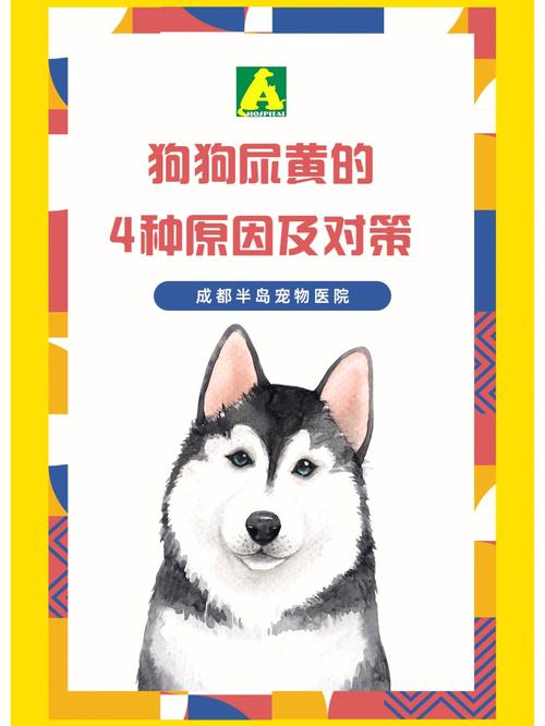 狗狗拉尿很黄什么原因，狗狗拉尿很黄是怎么回事？