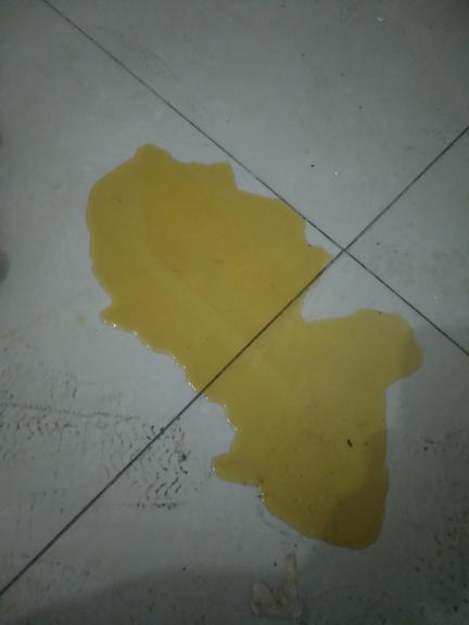 狗狗拉尿很黄什么原因,狗狗拉尿很黄是怎么回事?-第5张图片-后鲨宠物 狗狗拉尿很黄什么原因,狗狗拉尿很黄是怎么回事?-第5张图片-后鲨宠物