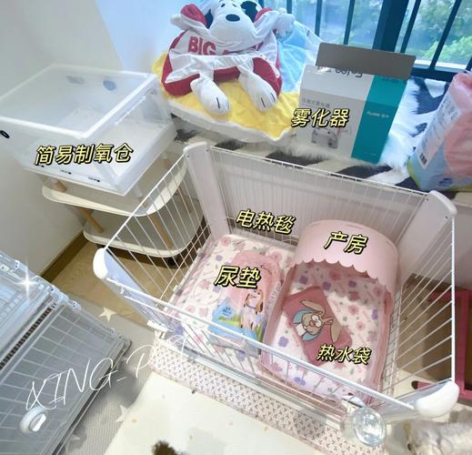 怎么帮狗狗接生,怎么帮狗狗接生视频?-第5张图片-后鲨宠物 怎么帮狗狗接生,怎么帮狗狗接生视频?-第5张图片-后鲨宠物