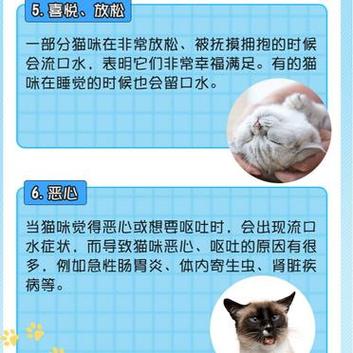 猫咪流口水很臭，猫咪流口水很臭嘴周围黑黑用什么药-第3张图片-后鲨宠物
