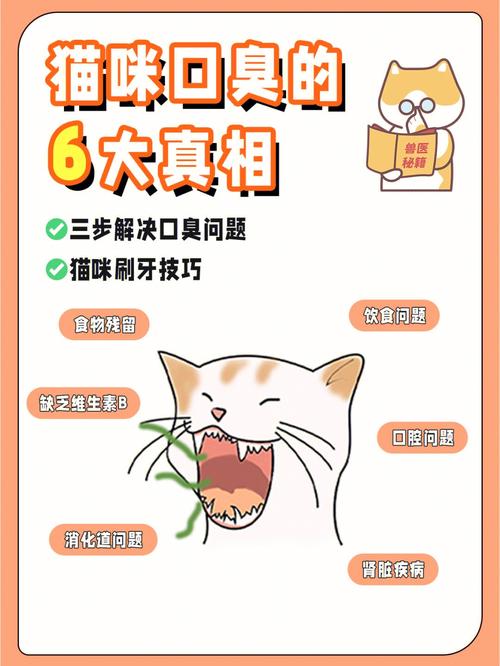  猫咪流口水很臭，猫咪流口水很臭嘴周围黑黑用什么药-第5张图片-后鲨宠物