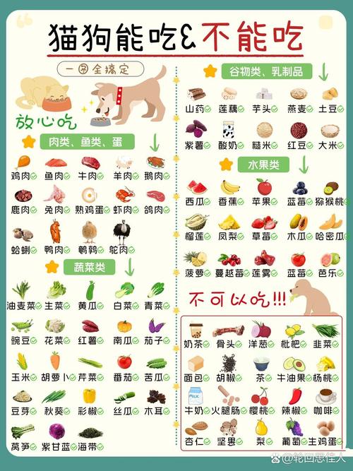 猫粮可以给狗狗吃吗,猫粮能给狗狗吃吗吃了会生病吗?-第3张图片-后鲨宠物 猫粮可以给狗狗吃吗,猫粮能给狗狗吃吗吃了会生病吗?-第3张图片-后鲨宠物