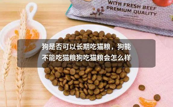 猫粮可以给狗狗吃吗,猫粮能给狗狗吃吗吃了会生病吗?-第5张图片-后鲨宠物 猫粮可以给狗狗吃吗,猫粮能给狗狗吃吗吃了会生病吗?-第5张图片-后鲨宠物