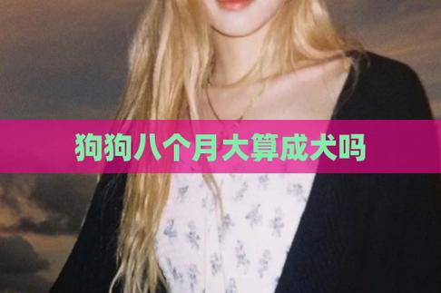 8个月的狗狗是成年了吗_八个月的狗狗算成犬吗