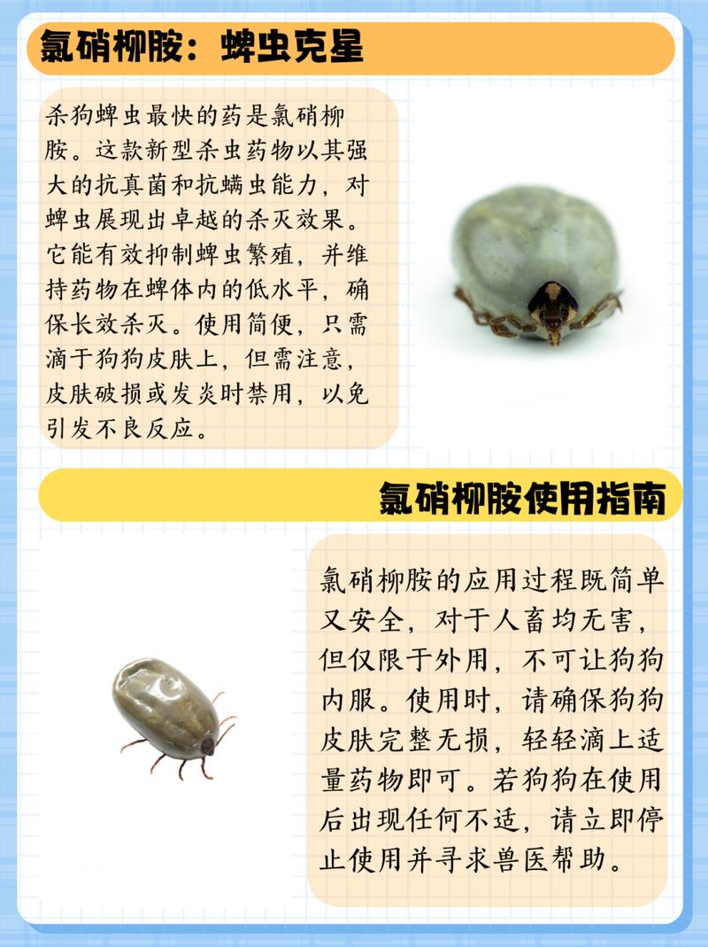 狗狗身上有蜱虫用什么药_狗狗身上有蜱虫用什么药效果好-第2张图片-后鲨宠物 狗狗身上有蜱虫用什么药_狗狗身上有蜱虫用什么药效果好-第2张图片-后鲨宠物