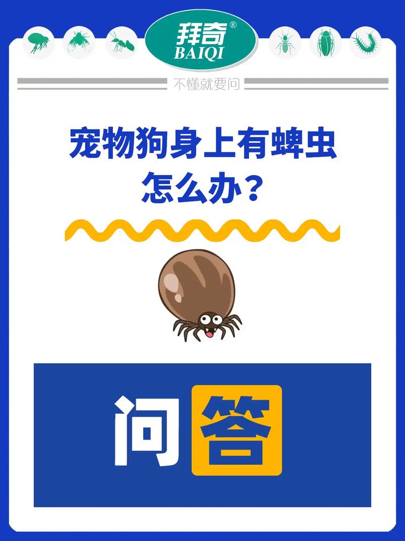 狗狗身上有蜱虫用什么药_狗狗身上有蜱虫用什么药效果好-第4张图片-后鲨宠物 狗狗身上有蜱虫用什么药_狗狗身上有蜱虫用什么药效果好-第4张图片-后鲨宠物