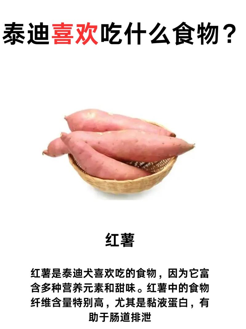 泰迪狗狗吃什么_泰迪狗狗吃什么食物可以增加营养-第2张图片-后鲨宠物 泰迪狗狗吃什么_泰迪狗狗吃什么食物可以增加营养-第2张图片-后鲨宠物