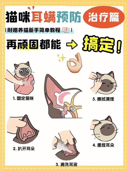 猫咪为什么会长耳螨,猫为什么长耳螨会传染人吗-第5张图片-后鲨宠物 猫咪为什么会长耳螨,猫为什么长耳螨会传染人吗-第5张图片-后鲨宠物