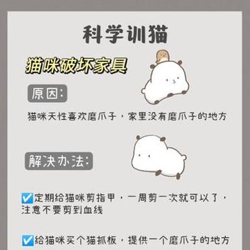 猫咪不听话咬人怎么办,猫咪不听话的时候该怎么办-第2张图片-后鲨宠物 猫咪不听话咬人怎么办,猫咪不听话的时候该怎么办-第2张图片-后鲨宠物