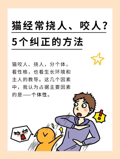 猫咪不听话咬人怎么办,猫咪不听话的时候该怎么办-第5张图片-后鲨宠物 猫咪不听话咬人怎么办,猫咪不听话的时候该怎么办-第5张图片-后鲨宠物