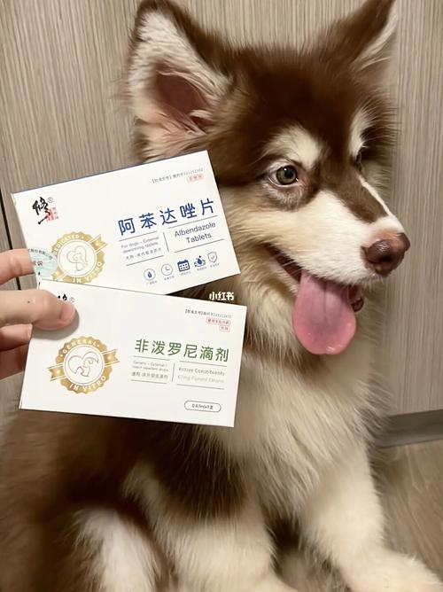  狗狗吃了驱虫药有什么反应，狗狗吃了驱虫药注意事项