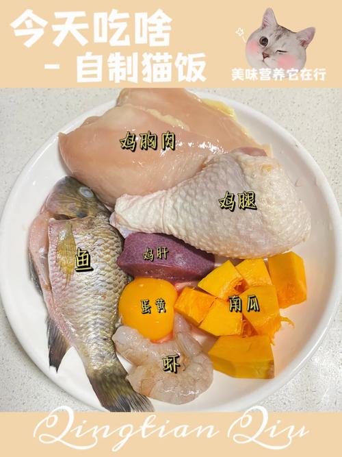 猫咪的饭怎么做,猫咪饭怎么做它会吃-第4张图片-后鲨宠物 猫咪的饭怎么做,猫咪饭怎么做它会吃-第4张图片-后鲨宠物