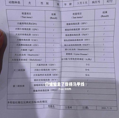 狗狗抗体检测多少钱,狗的抗体检查多少钱?-第2张图片-后鲨宠物 狗狗抗体检测多少钱,狗的抗体检查多少钱?-第2张图片-后鲨宠物