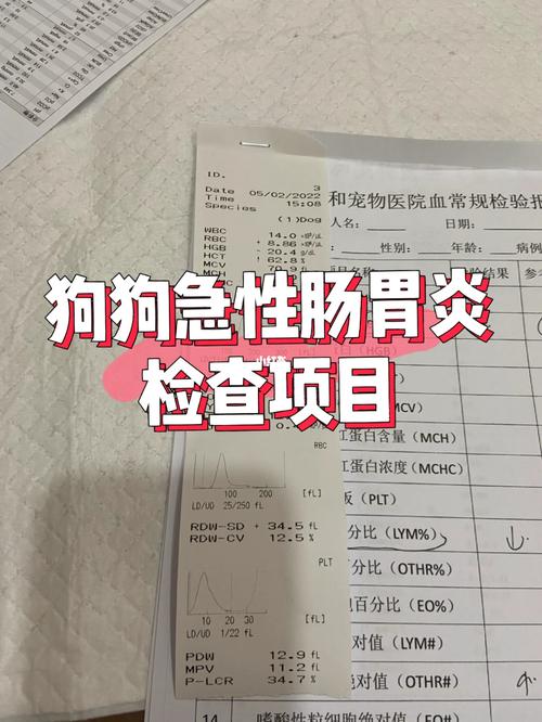 狗狗抗体检测多少钱,狗的抗体检查多少钱?-第4张图片-后鲨宠物 狗狗抗体检测多少钱,狗的抗体检查多少钱?-第4张图片-后鲨宠物