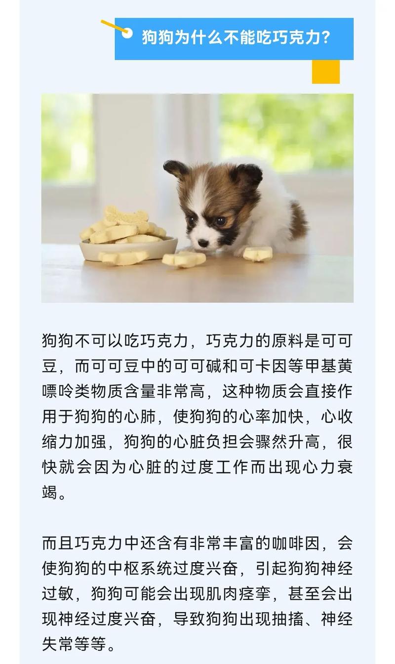  狗狗能吃甜的东西吗，狗能吃甜的么?-第5张图片-后鲨宠物