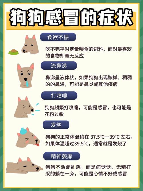 狗狗感冒可以自愈吗，狗狗感冒能自愈吗？-第3张图片-后鲨宠物