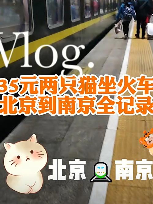  猫咪可以坐火车吗，猫咪可以坐火车吗?