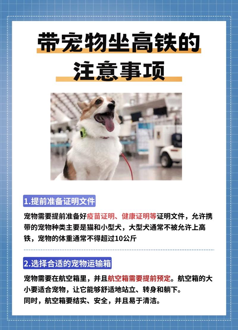 猫咪可以坐火车吗,猫咪可以坐火车吗?-第4张图片-后鲨宠物 猫咪可以坐火车吗,猫咪可以坐火车吗?-第4张图片-后鲨宠物