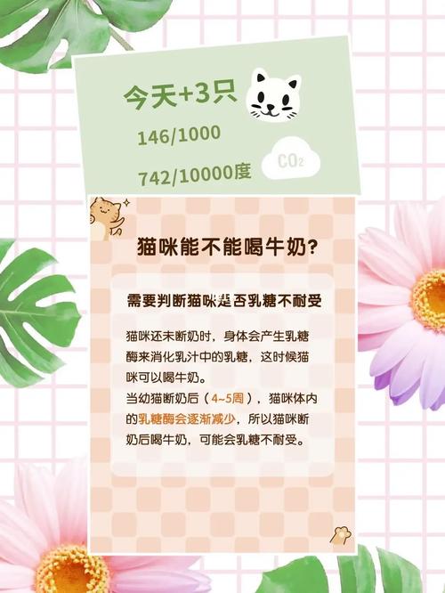 猫猫可以喝牛奶吗_猫猫喝牛奶吗会怎么样-第3张图片-后鲨宠物 猫猫可以喝牛奶吗_猫猫喝牛奶吗会怎么样-第3张图片-后鲨宠物