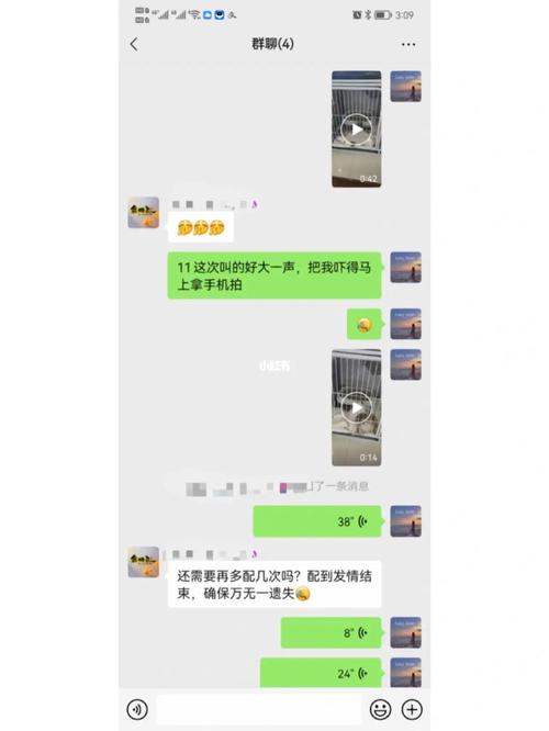 猫咪受孕成功的表现_猫咪一天能配上吗-第5张图片-后鲨宠物