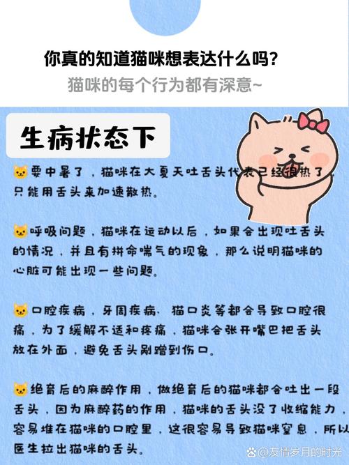 猫咪睡觉吐舌头,猫咪睡觉吐舌头是咋回事-第6张图片-后鲨宠物 猫咪睡觉吐舌头,猫咪睡觉吐舌头是咋回事-第6张图片-后鲨宠物