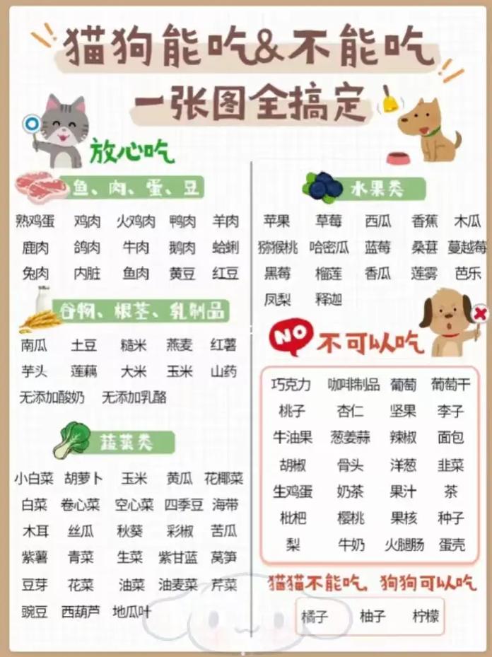 猫咪可以吃黄油吗,猫咪能吃黄油嘛-第3张图片-后鲨宠物 猫咪可以吃黄油吗,猫咪能吃黄油嘛-第3张图片-后鲨宠物